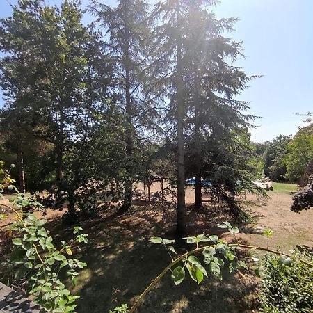 La Borie Du Cambord - Gites Et Chambres D'Hotes Sarlat-la-Canéda Eksteriør billede